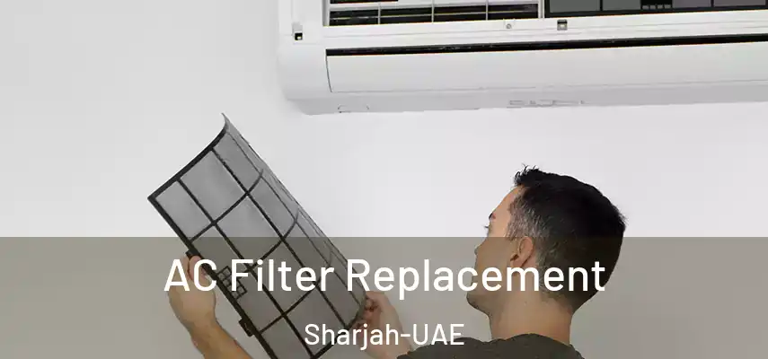 AC Filter Replacement Sharjah-UAE