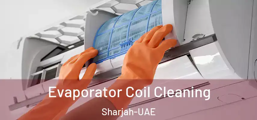 Evaporator Coil Cleaning Sharjah-UAE