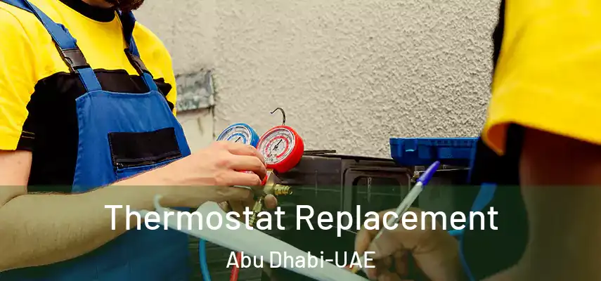 Thermostat Replacement Abu Dhabi-UAE